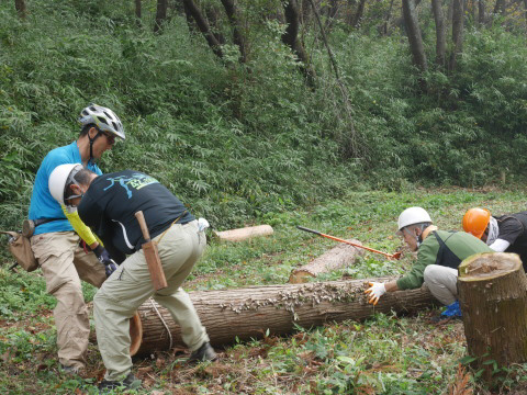 北鎌倉の山で間伐